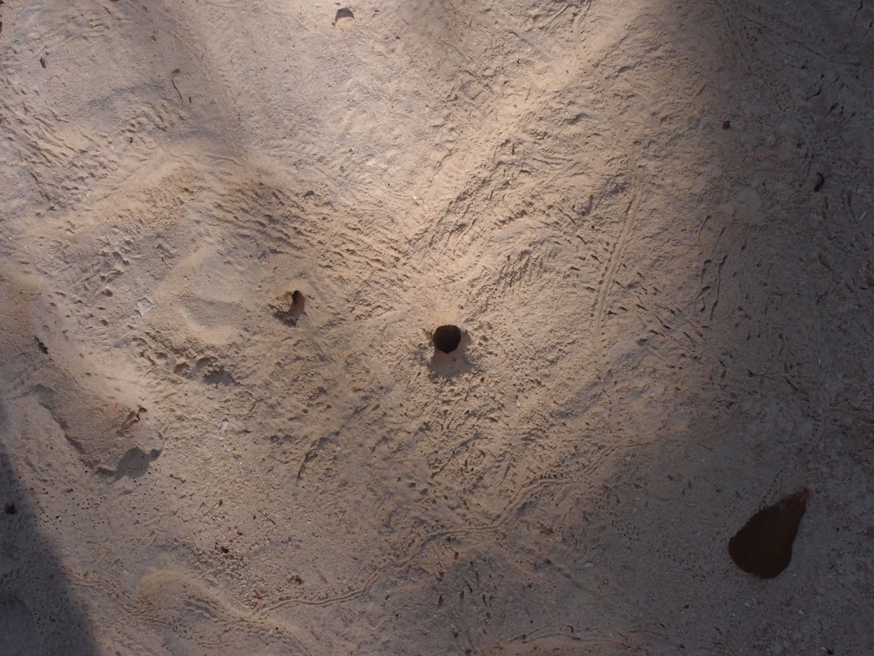 2015-10-07 04 Sand (Foto)